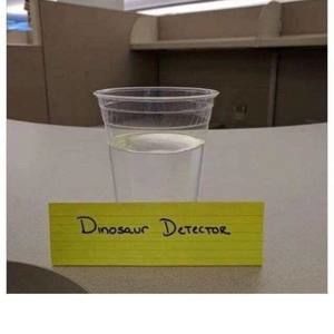 Meet your Posher, Anara